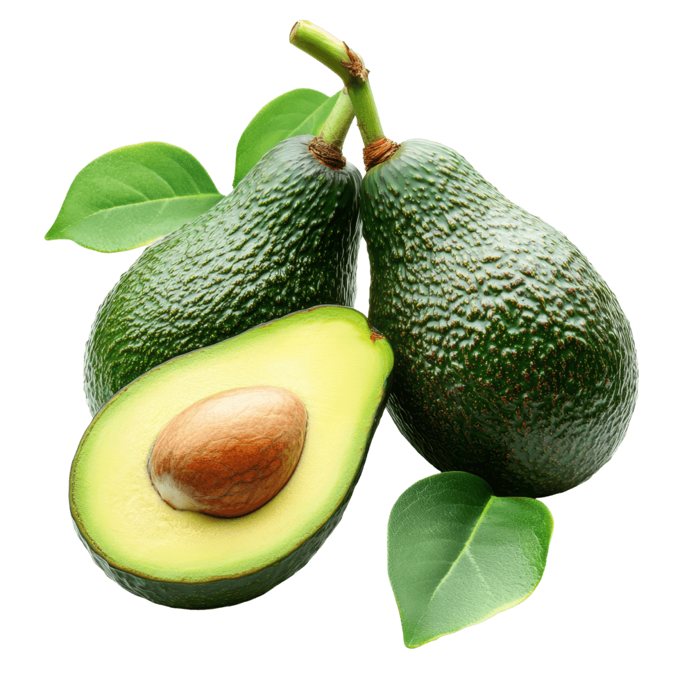 Avocado
