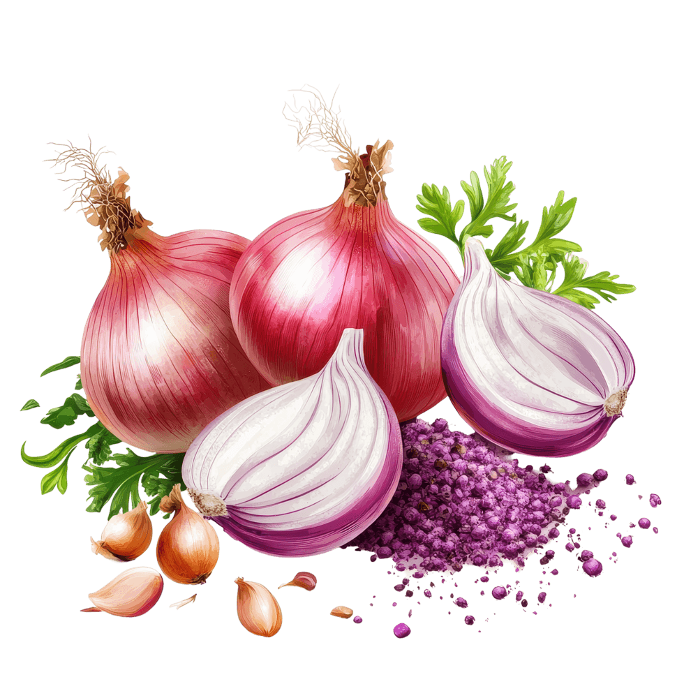 Onion
